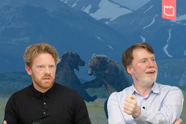 Wie man über Tiere schreibt Workshop 311